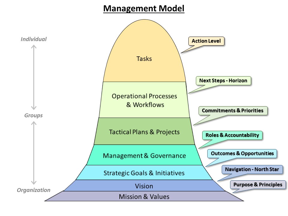 Management Model